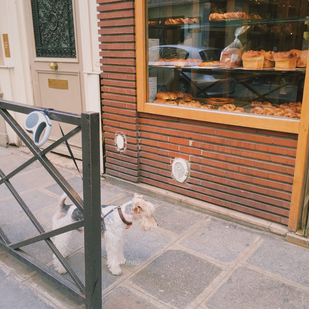 パリの老舗パン屋さん、ポワラーヌを紹介！