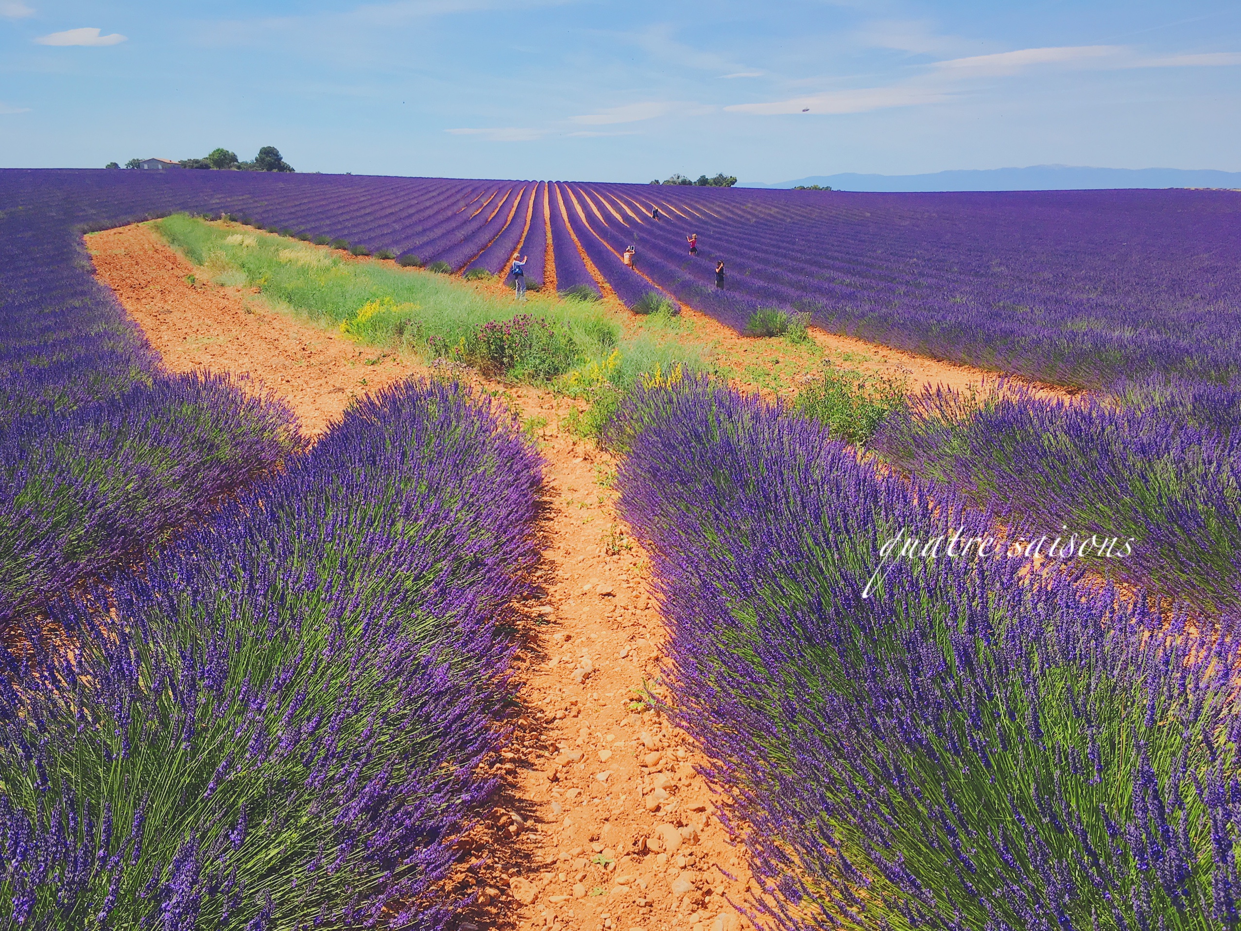南仏プロヴァンス ラベンダーで有名なヴァレンソル 南仏在住ラベンダー写真のベストスポットのおすすめはここ 可愛いヴァランソルの村についてもご紹介 カトル セゾン