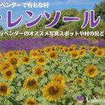 南フランスのヴァレンソール高原へラベンダーを見に行こう！オススメ写真スポットや村についても紹介！