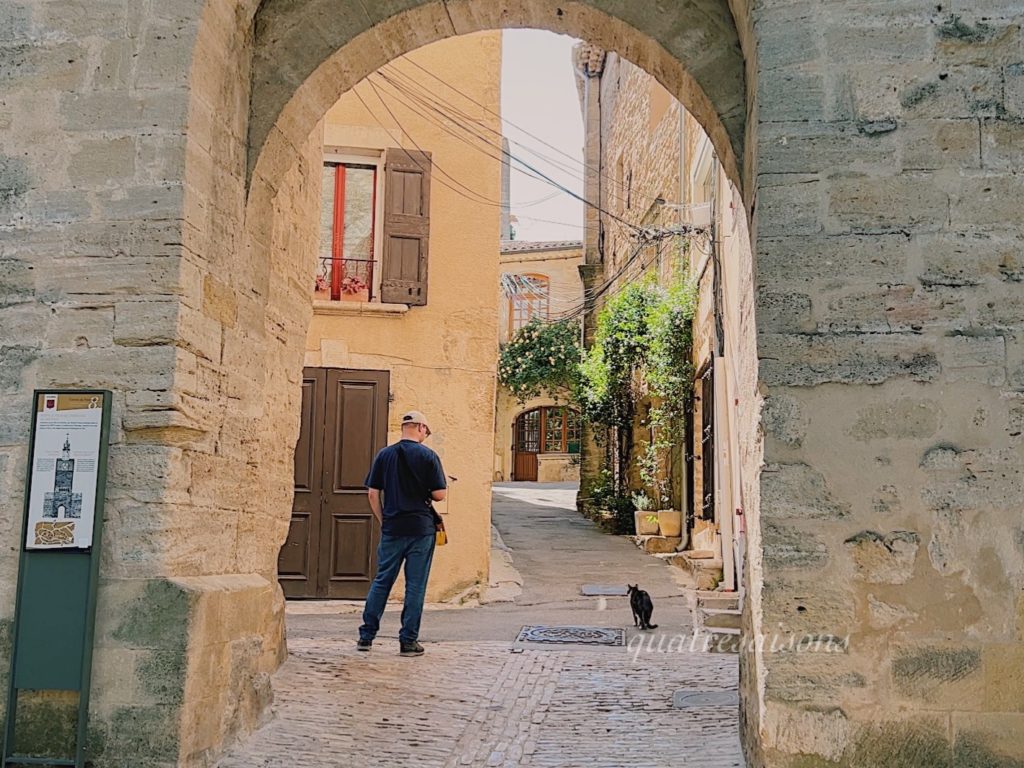 南フランスの美しい村キュキュロンの猫