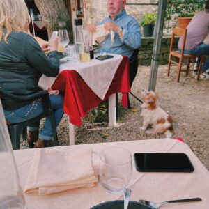 イタリアの村ドルチェアックアのおすすめレストランであった犬