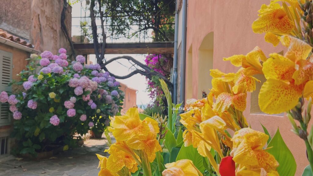 ボルム・レ・ミモザ、南フランスの花が美しい村