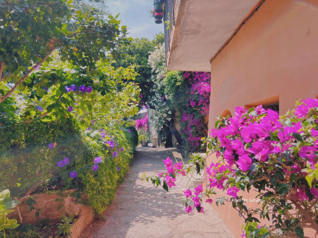 ボルム・レ・ミモザ、南フランスの花が美しい村