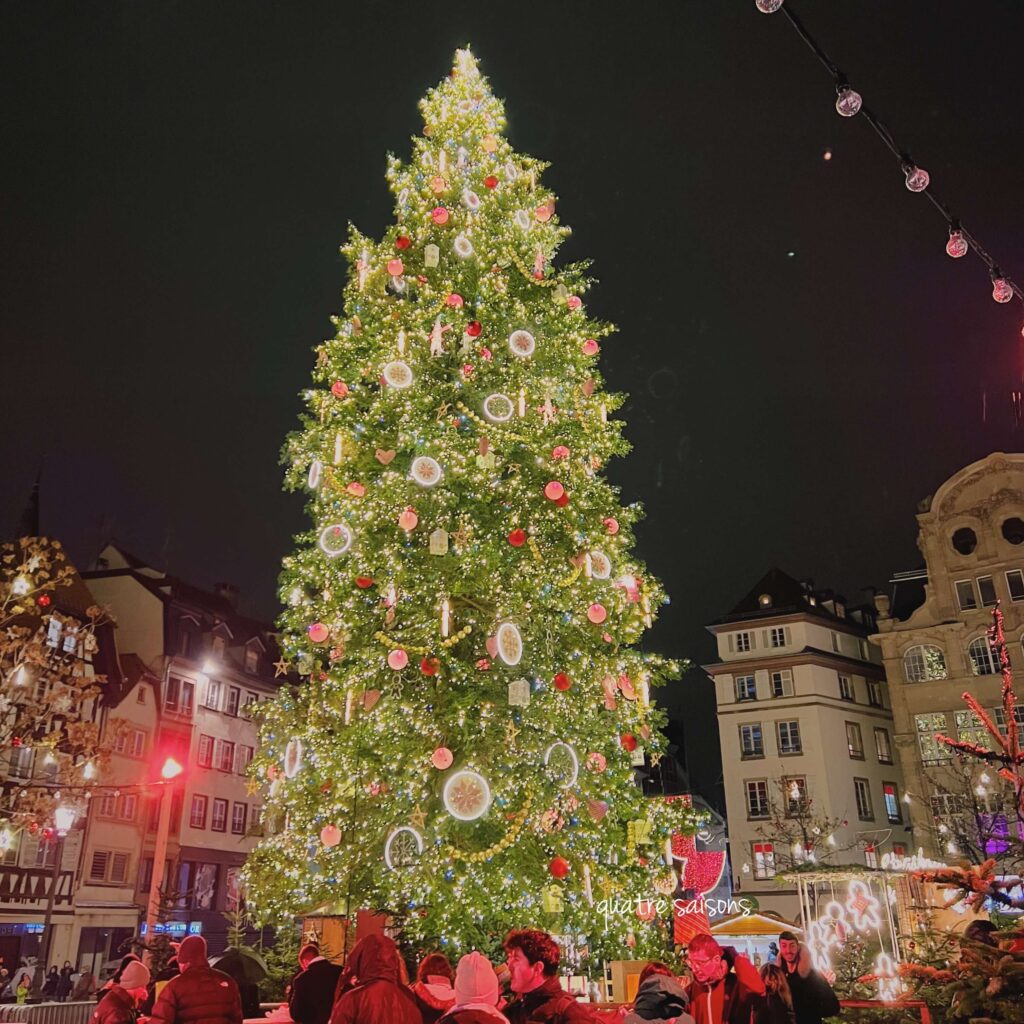 ストラスブール、クレベール広場に飾られているクリスマスツリー