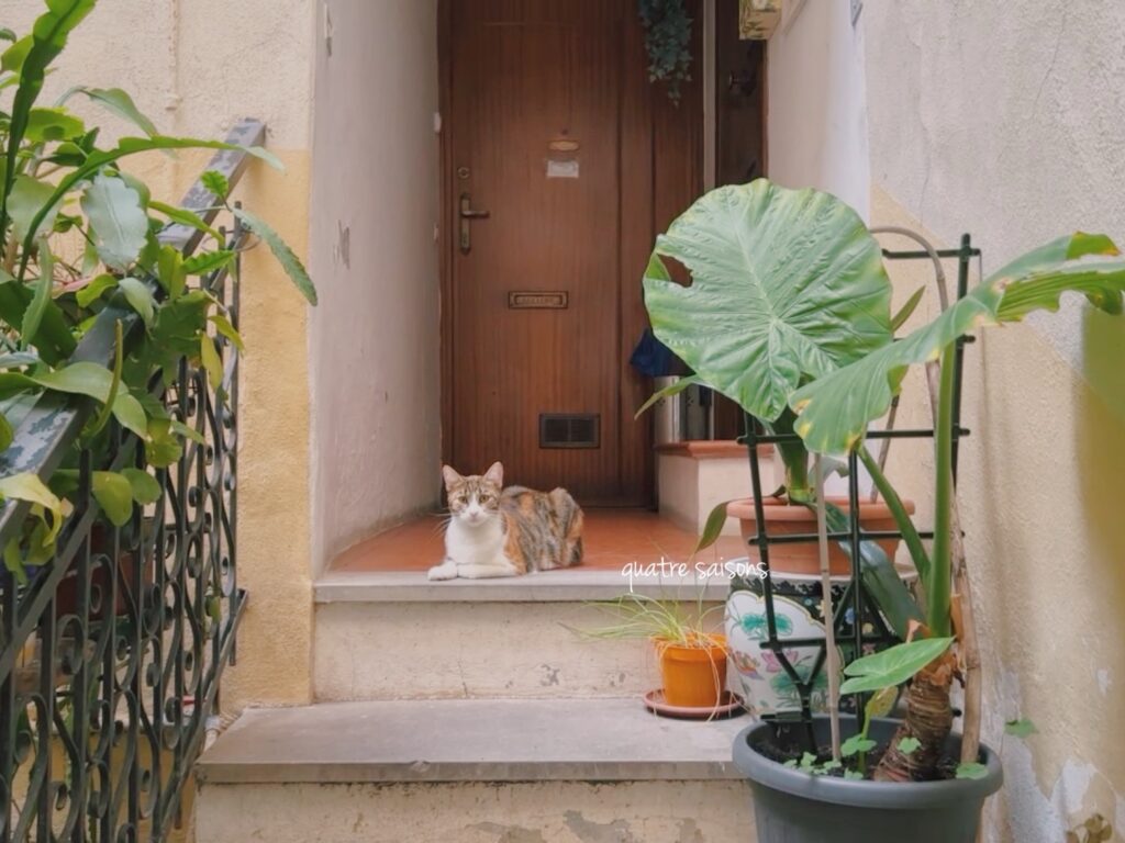 フランスに近い、イタリアの村、ドルチェアクア