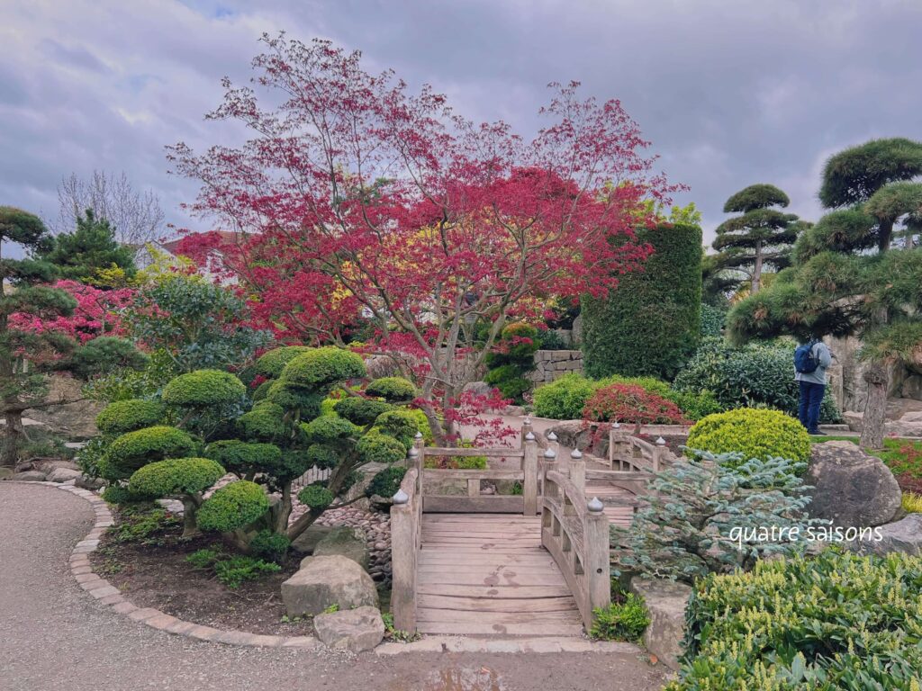 フライブルグの日本庭園