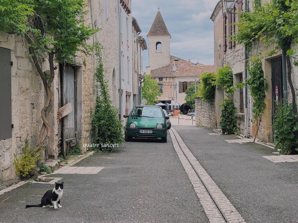 南西フランスの村、トゥルノン・ダジュネで出会った猫