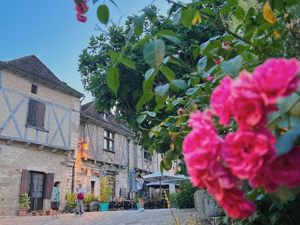 フランスの村サン・シル・ラポピー、の美しいお花たち