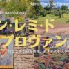 ゴッホゆかりの地サン・レミ・ド・プロヴァンスのオススメ観光スポットを紹介！
