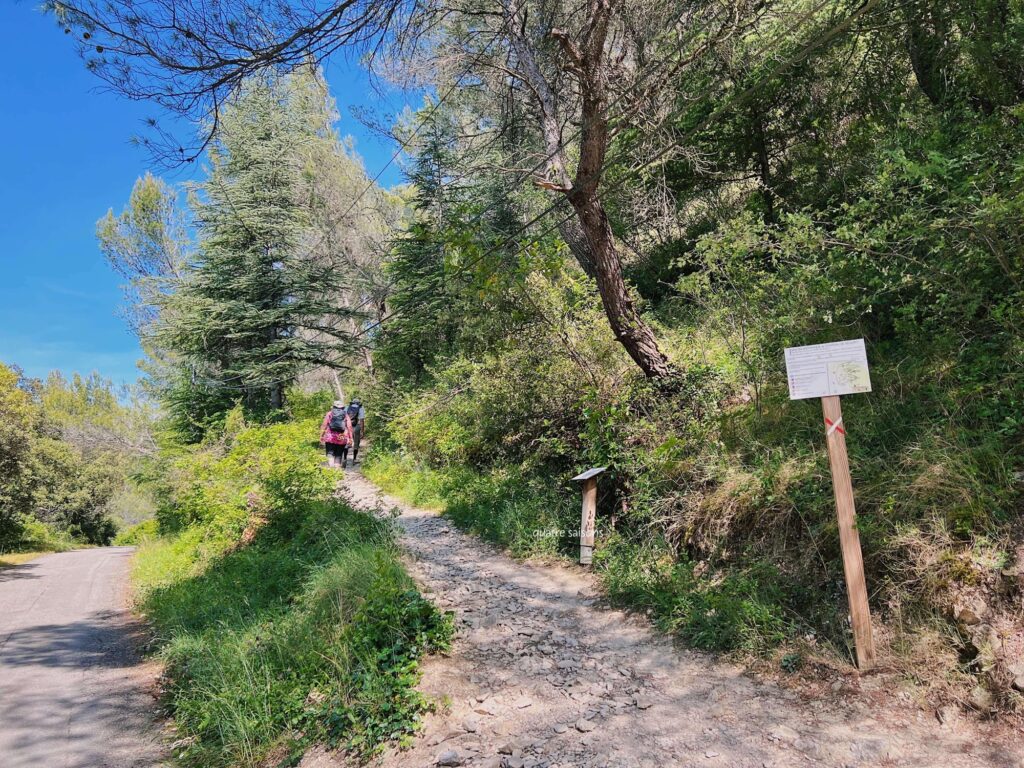 南フランスの村、セギュレのお城まで行く道