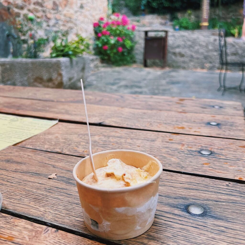 南フランスの村カステルヌーにあるエピスリー、A la rucheで食べたアイス