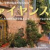 南フランスの街、ファイヤンス