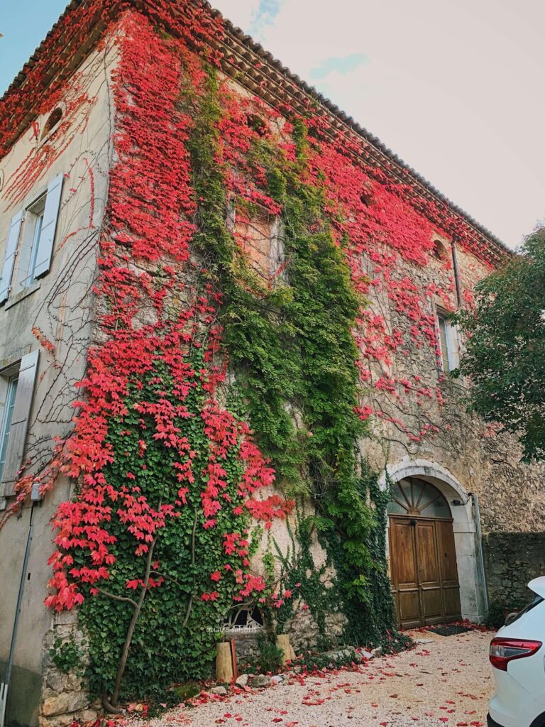 南フランスの村、リュッサンの紅葉