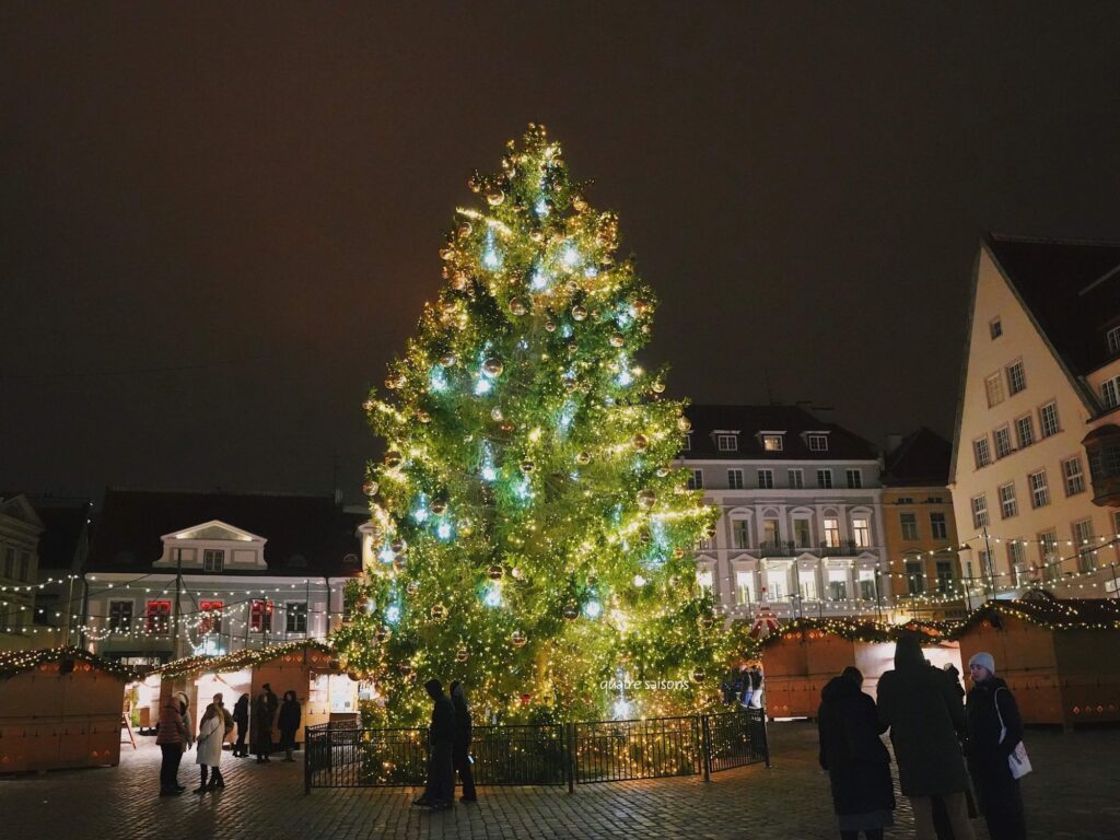 エストニア・タリンのクリスマスマーケットのクリスマスツリー