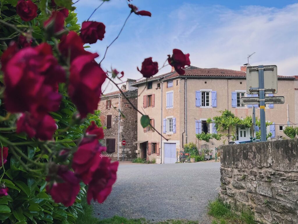 フランス南西部の村、モネスティエ、フランスの最も美しい村のひとつで見かけたお花