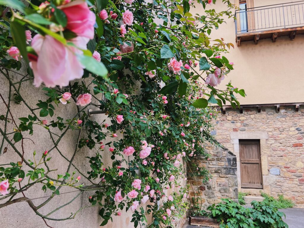 フランス南西部の美しい村、サンコームドルトの花