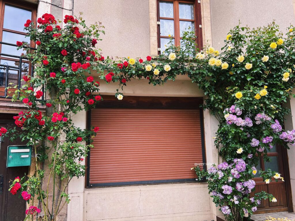 フランス南西部の美しい村、サンコームドルトの花
