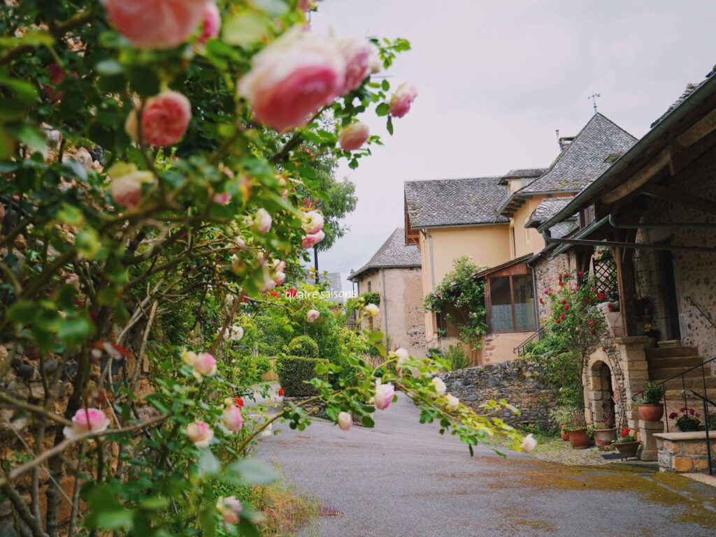 フランス南西部の美しい村、サンコームドルトの花
