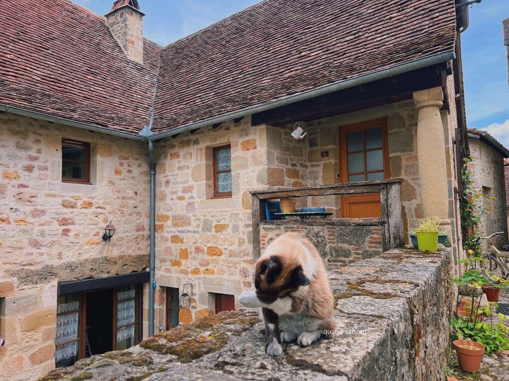 フランス南西部の美しい村、カプドナックで出会った猫