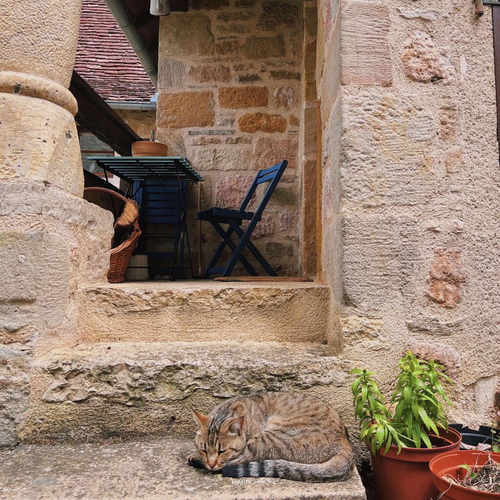 フランス南西部の美しい村、カプドナックで出会った猫