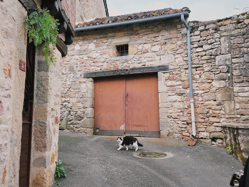 フランス南西部の美しい村、カプドナックで出会った猫