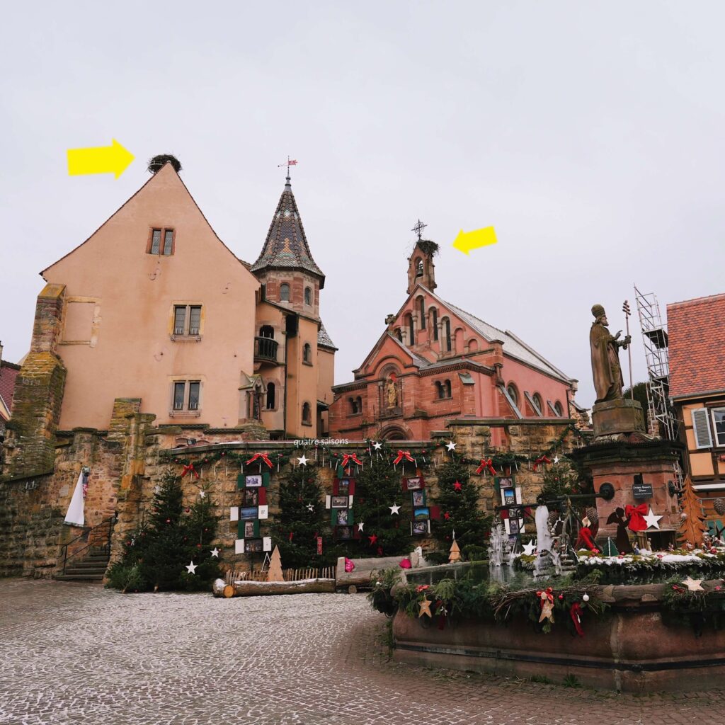 エギスハイムで見つけたコウノトリの巣