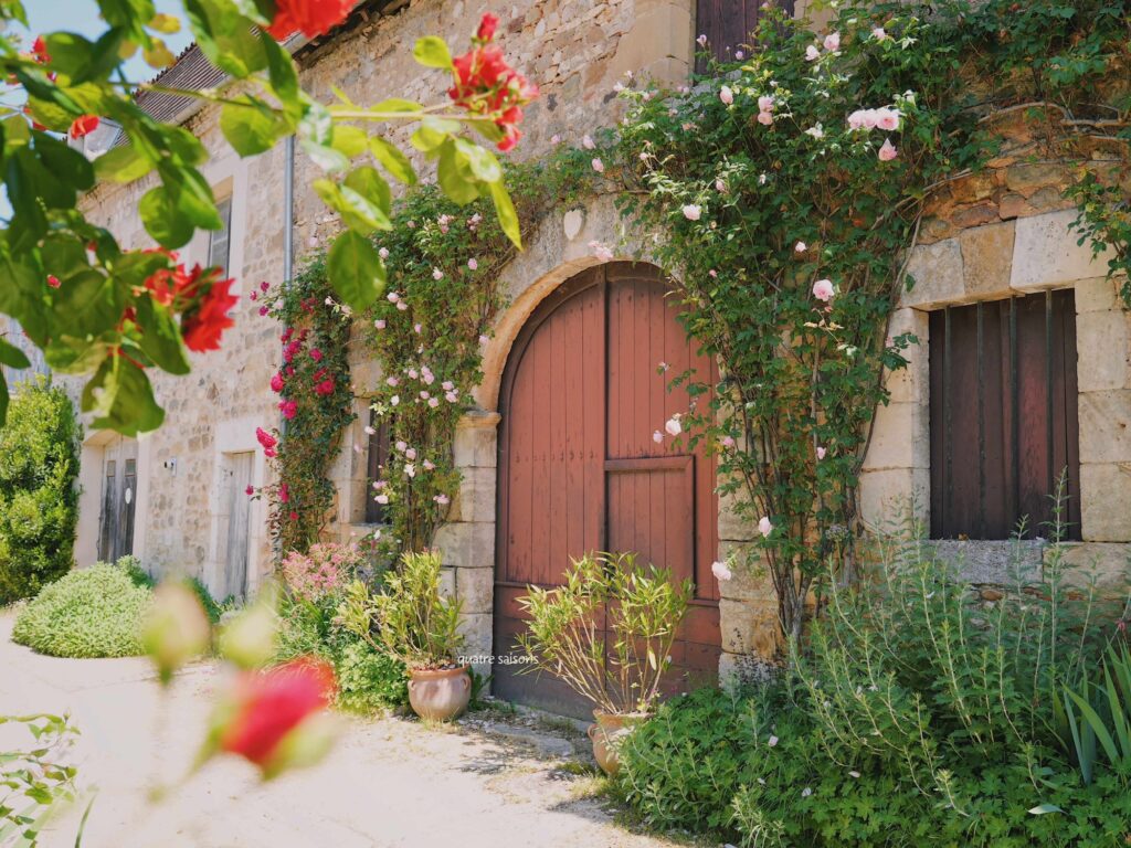 フランス南西部の村、サン・ジャン・ド・コールで見つけたバラ