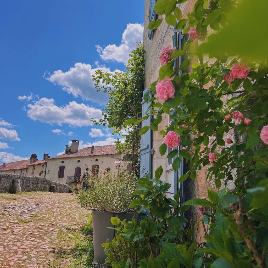 フランス南西部の村、サン・ジャン・ド・コールで見つけたバラ