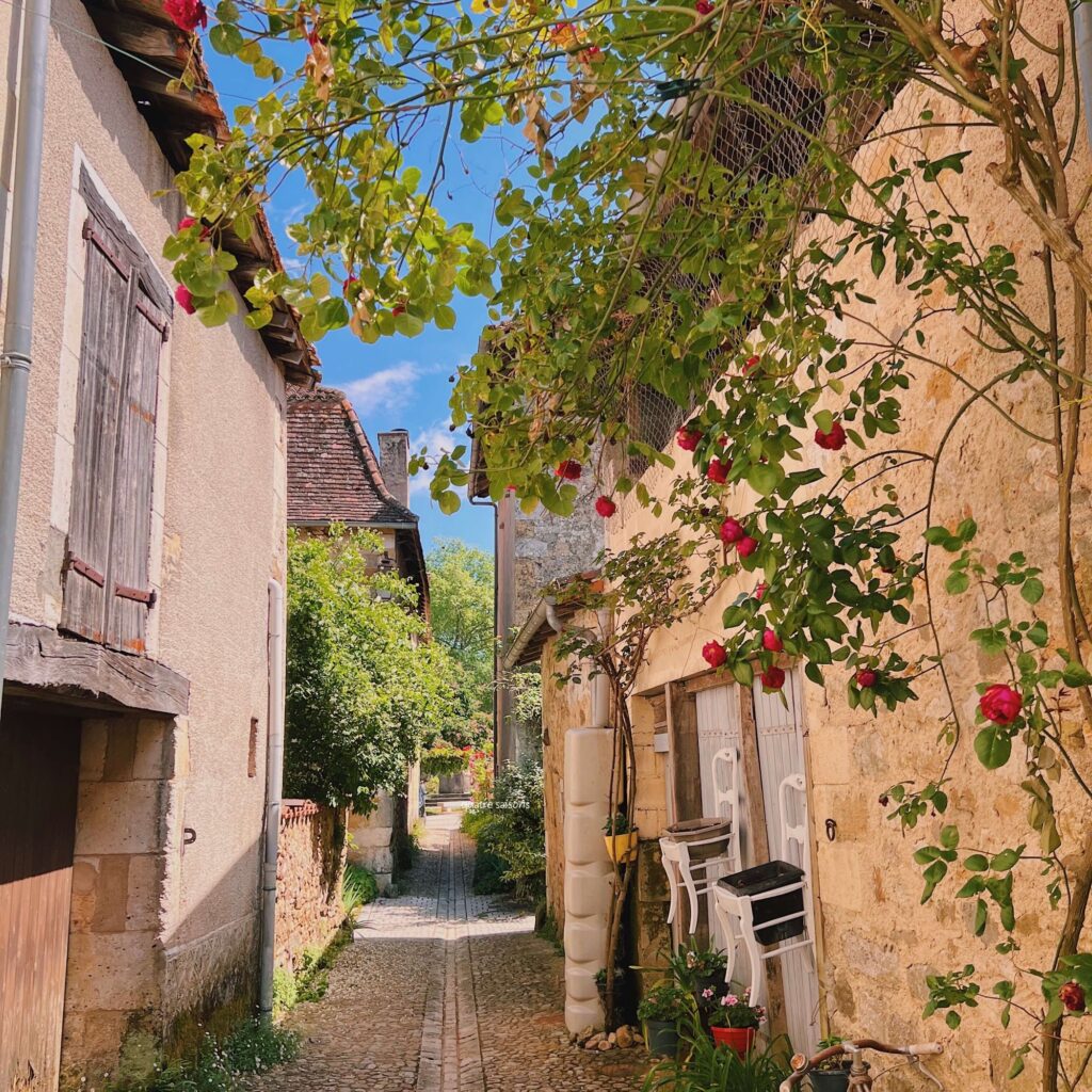 フランス南西部の村、サン・ジャン・ド・コールで見つけたバラ