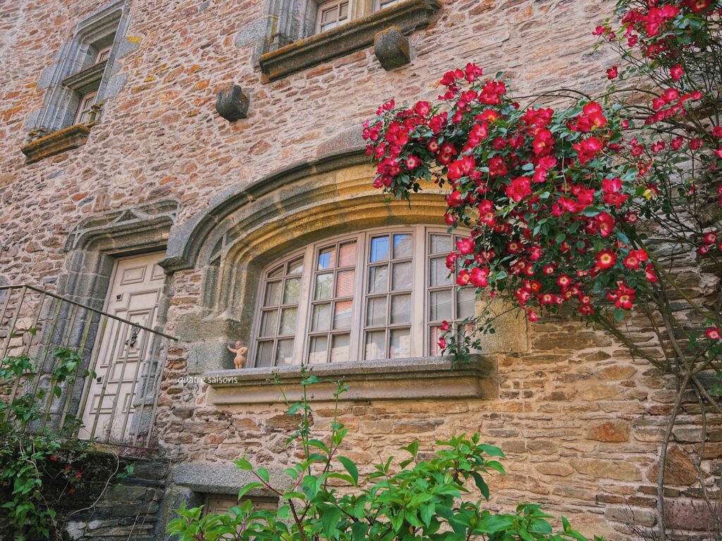 フランス南西部の村、セギュール・ル・シャトーの美しい花々