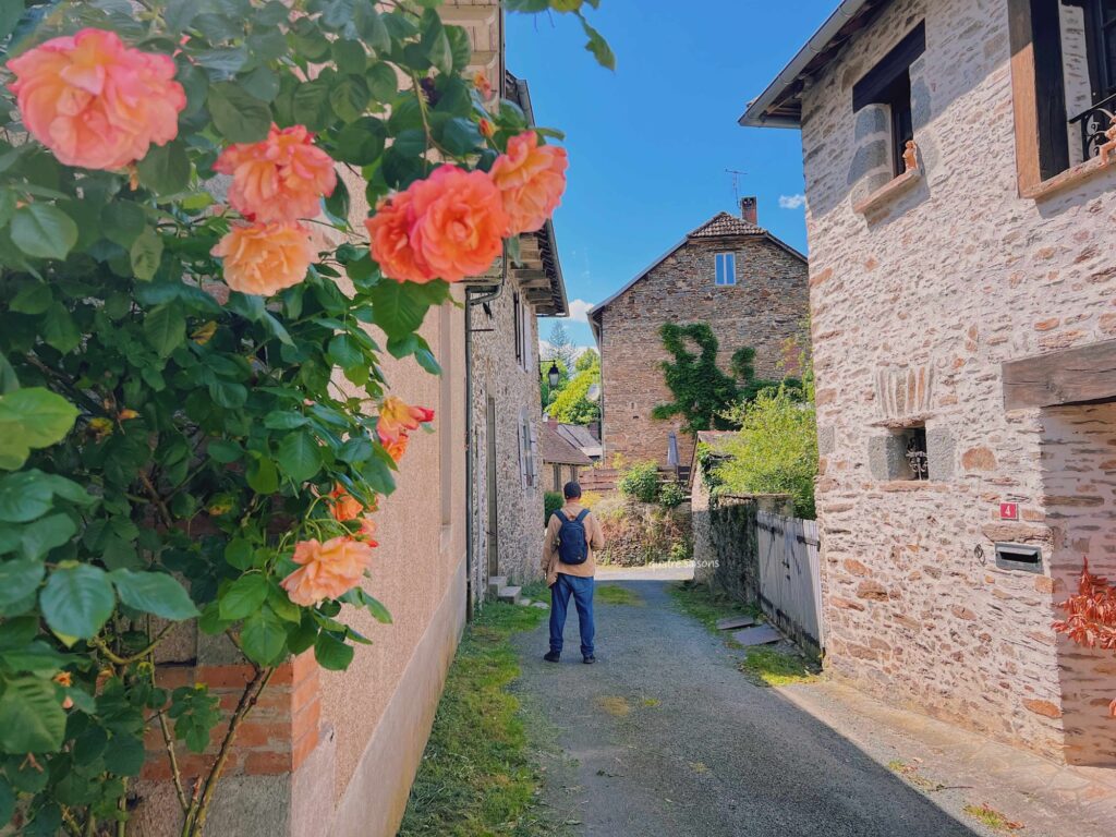 フランス南西部の村、セギュール・ル・シャトーの美しい花々