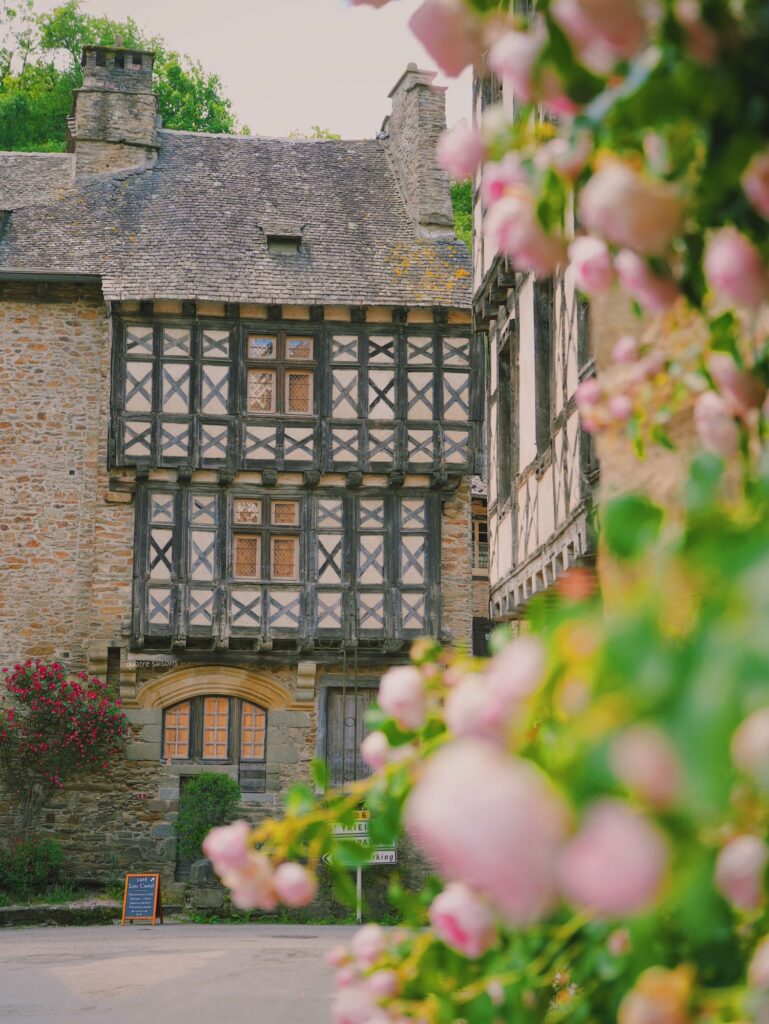 フランス南西部の村、セギュール・ル・シャトーの美しい花々