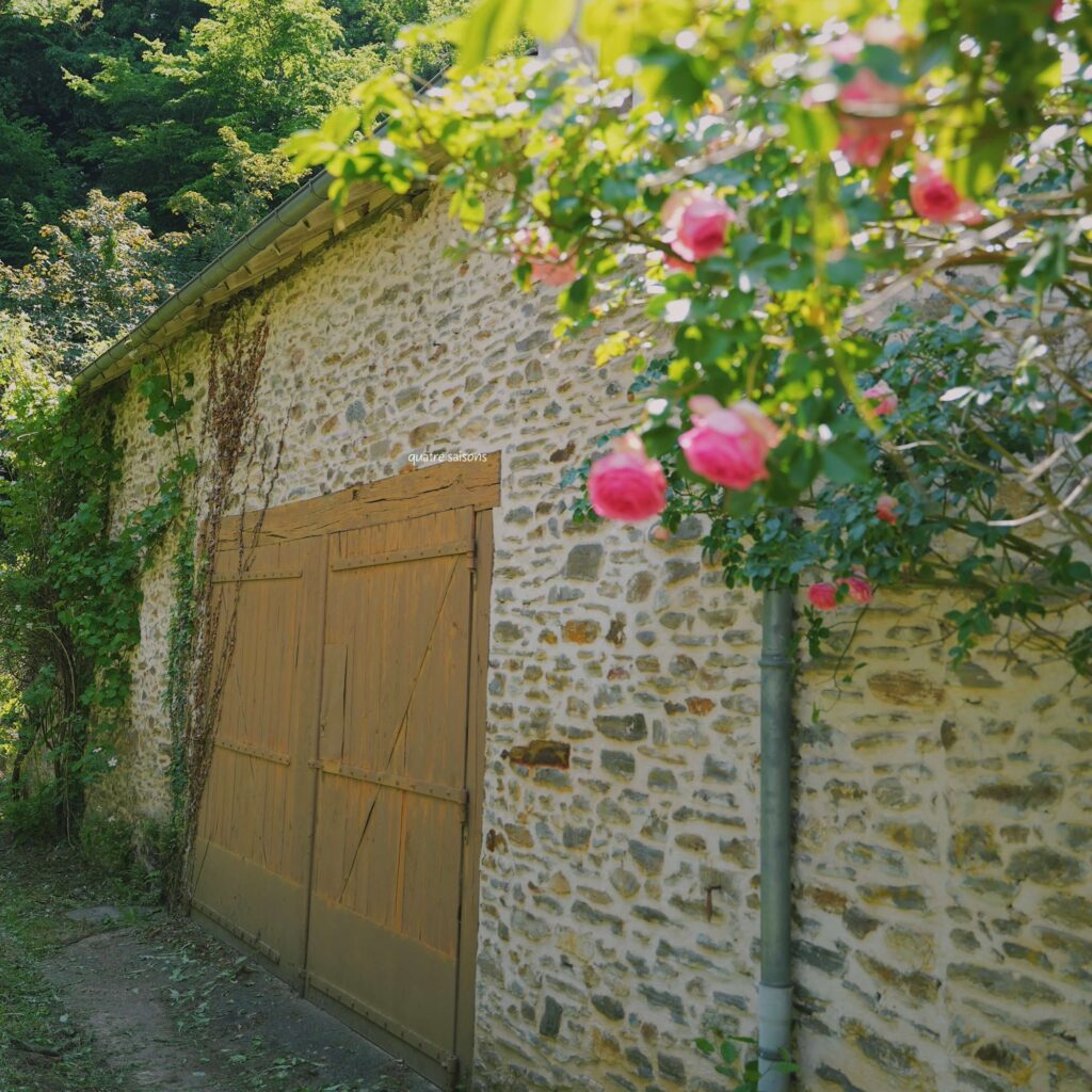 フランス南西部の村、セギュール・ル・シャトーの美しい花々