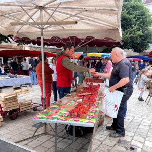 フランス南西部の街ペリグーのマルシェ