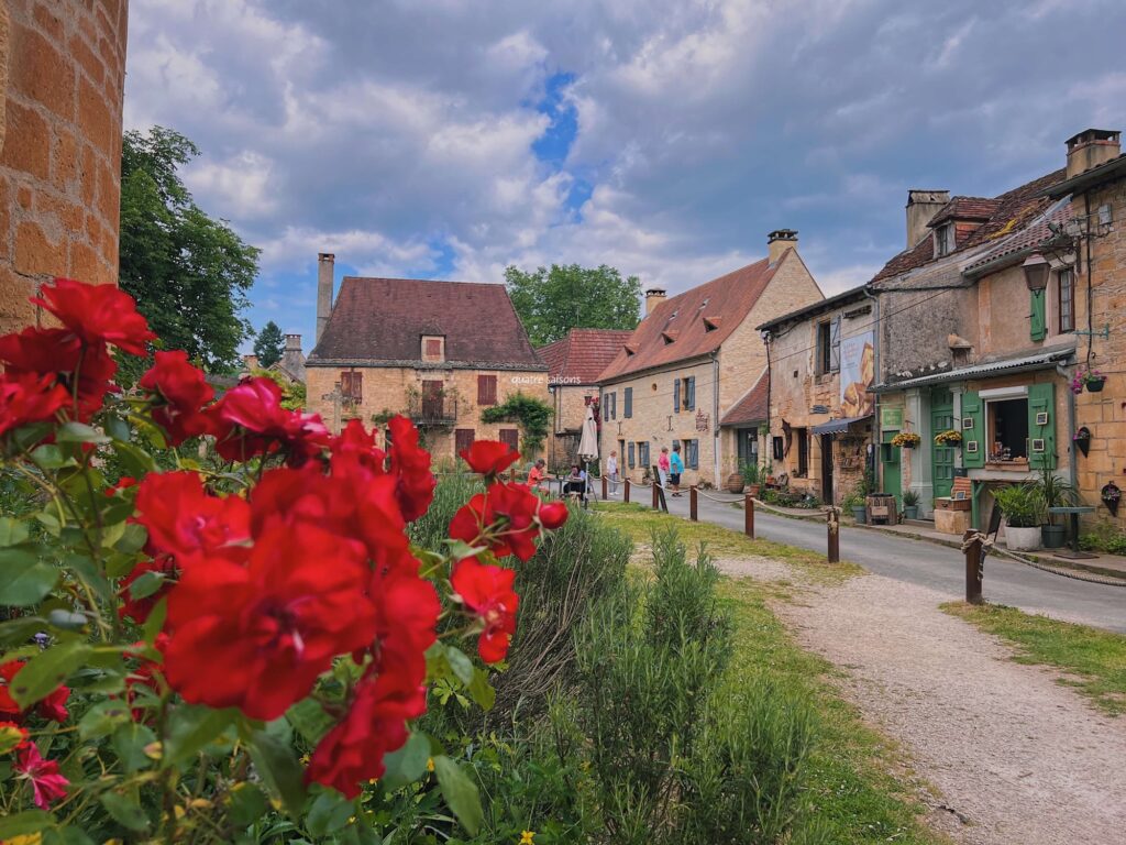 フランス南西部の村、サン＝レオン＝シュル＝ヴェゼールの美しいお花