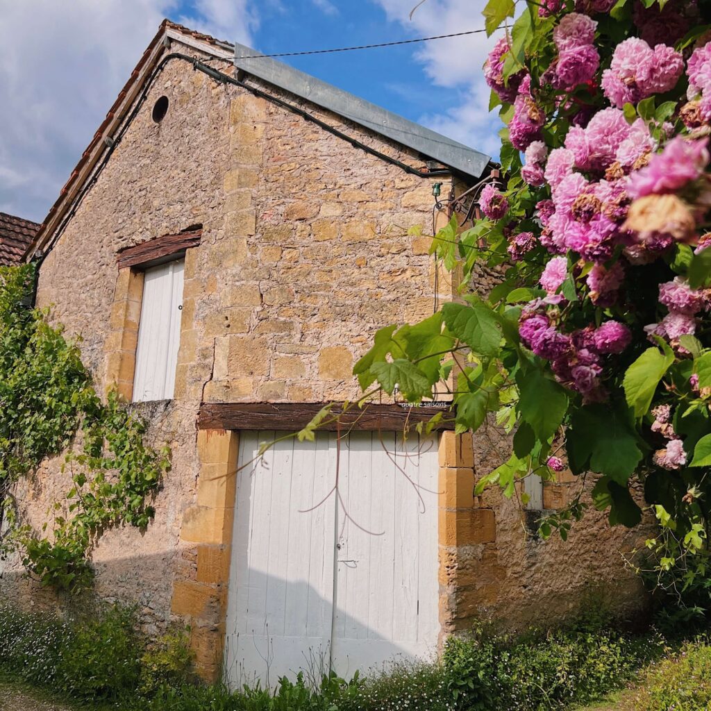 フランス南西部の村、サン＝レオン＝シュル＝ヴェゼールの美しいお花