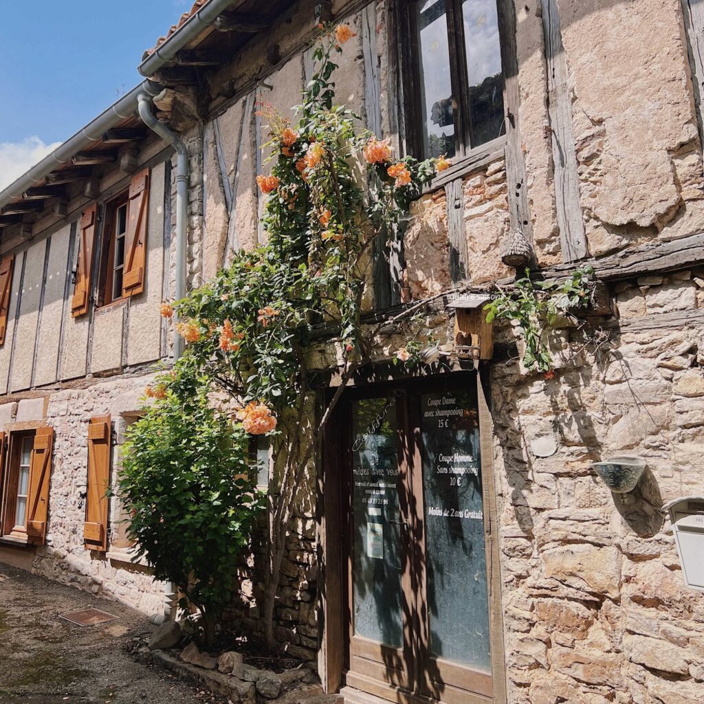 フランス南西部の美しい村、ピュイセルシの美しい花々