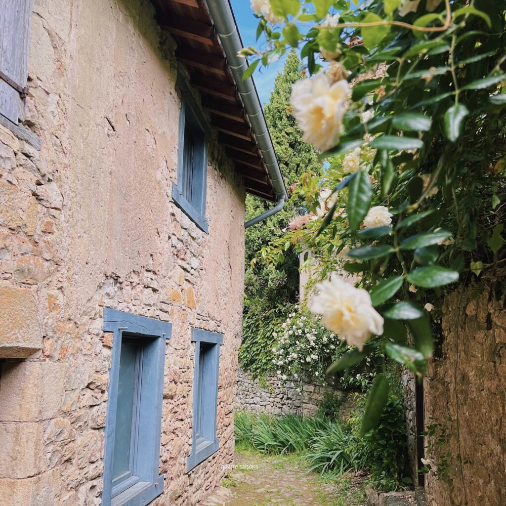 フランス南西部の美しい村、ピュイセルシの美しい花々