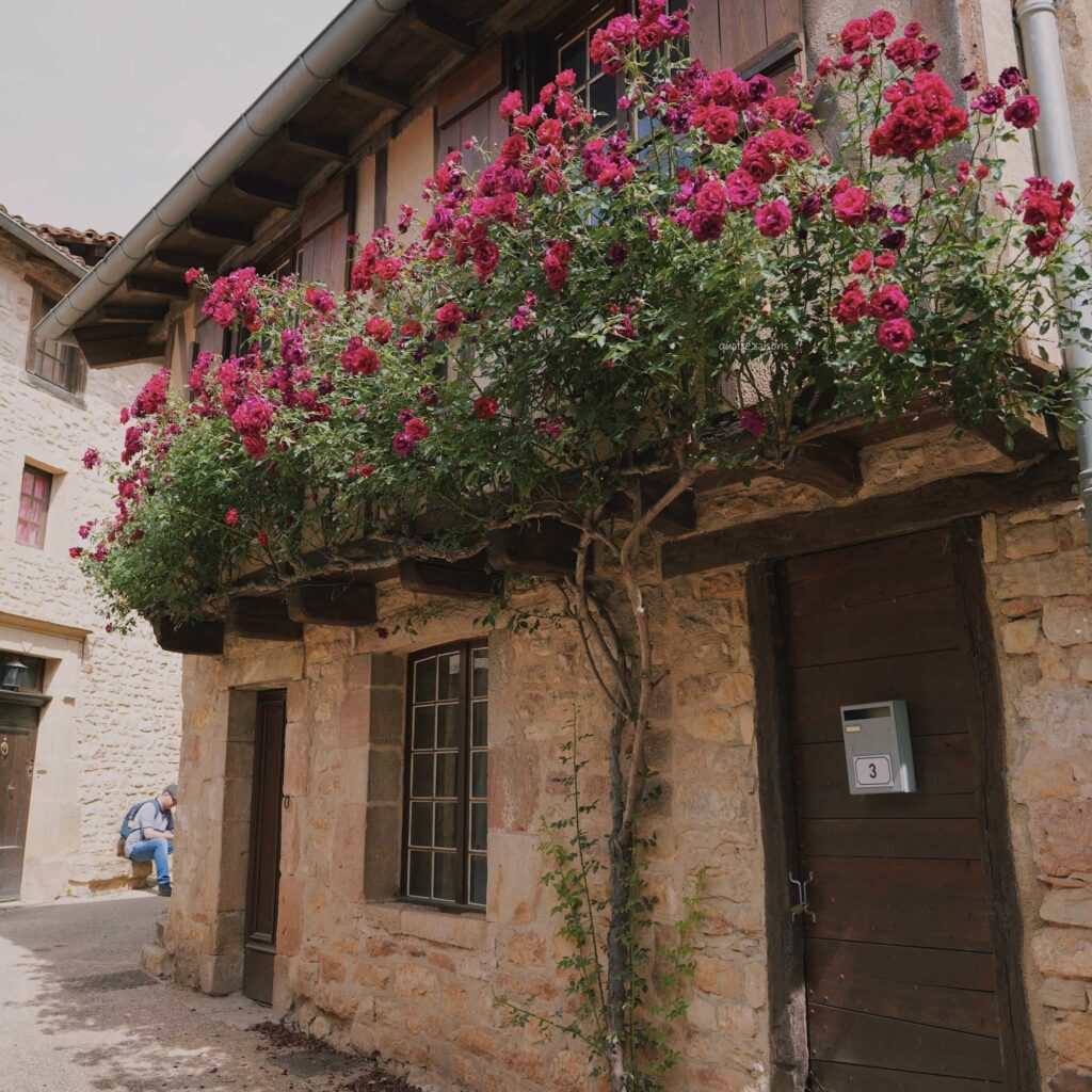 フランス南西部の美しい村、ピュイセルシの美しい花々