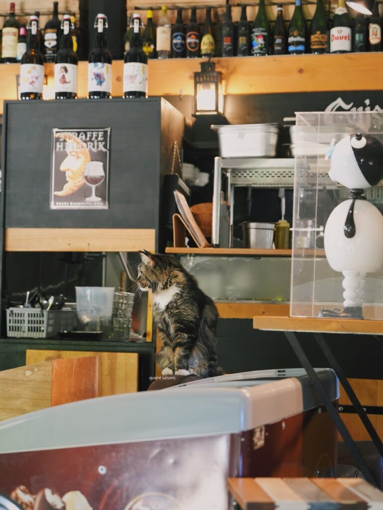 フランス南西部、ブルニケルで利用したレストラン、Taverne Du Temps