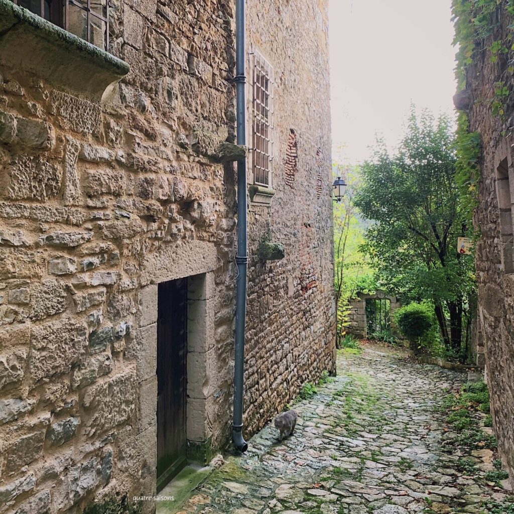 フランス南西部の村、ブルニケルで出会った猫