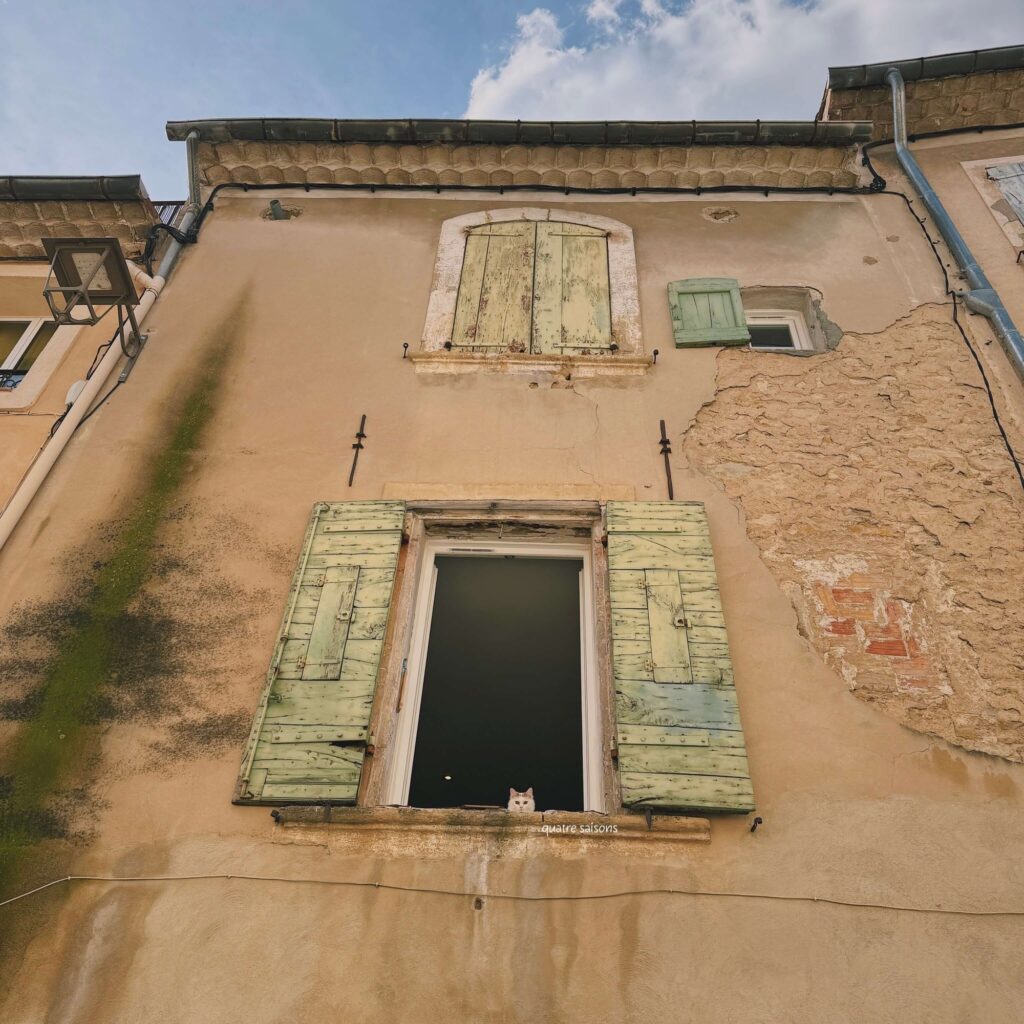 南フランスの街ラ・トゥール・デーグで出会った猫