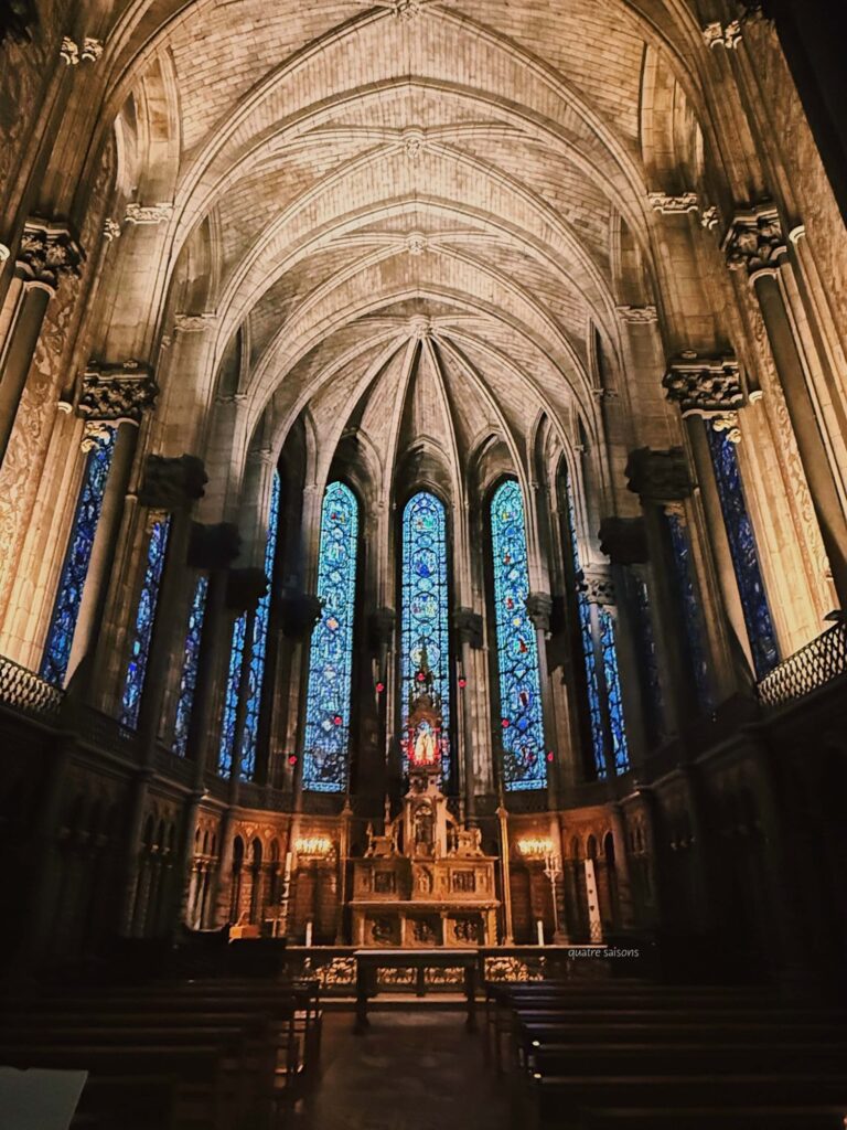 フランスの街リールにあるノートル・ダム・ド・ラ・トレイユ大聖堂